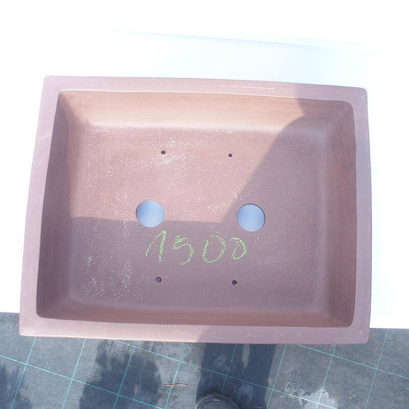 Bonsaischaal 50 x 39 x 14 cm