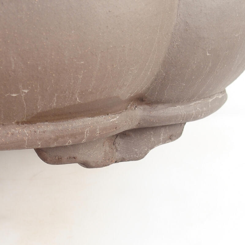 Bonsaischaal 50 x 41 x 13 cm