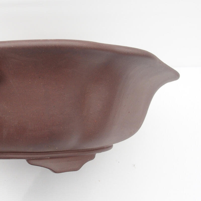 Bonsaischaal 50 x 47 x 14 cm - Japanse kwaliteit