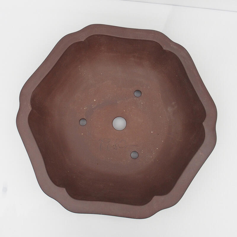 Bonsaischaal 50 x 47 x 14 cm - Japanse kwaliteit