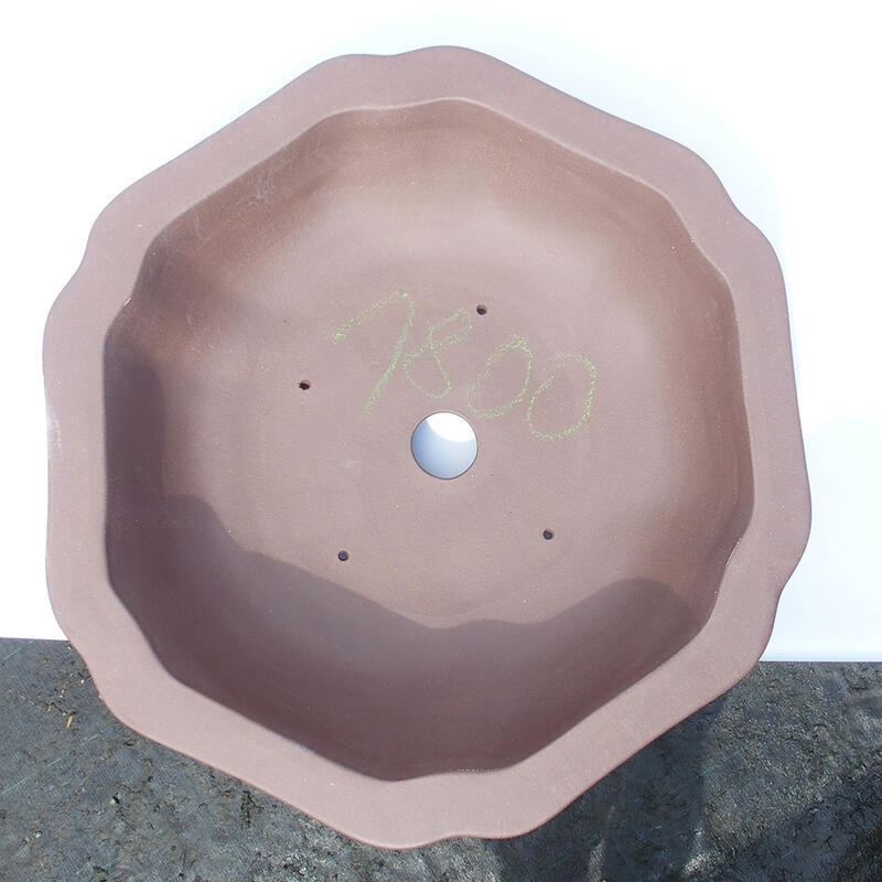 Bonsaischaal 50 x 50 x 14 cm