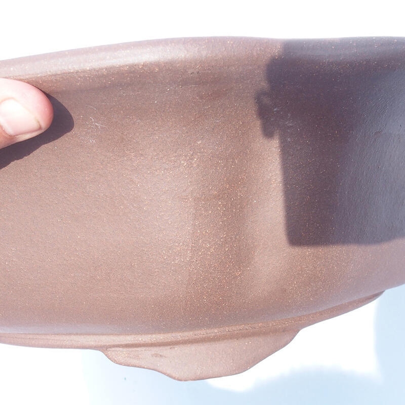 Bonsaischaal 50 x 50 x 14 cm