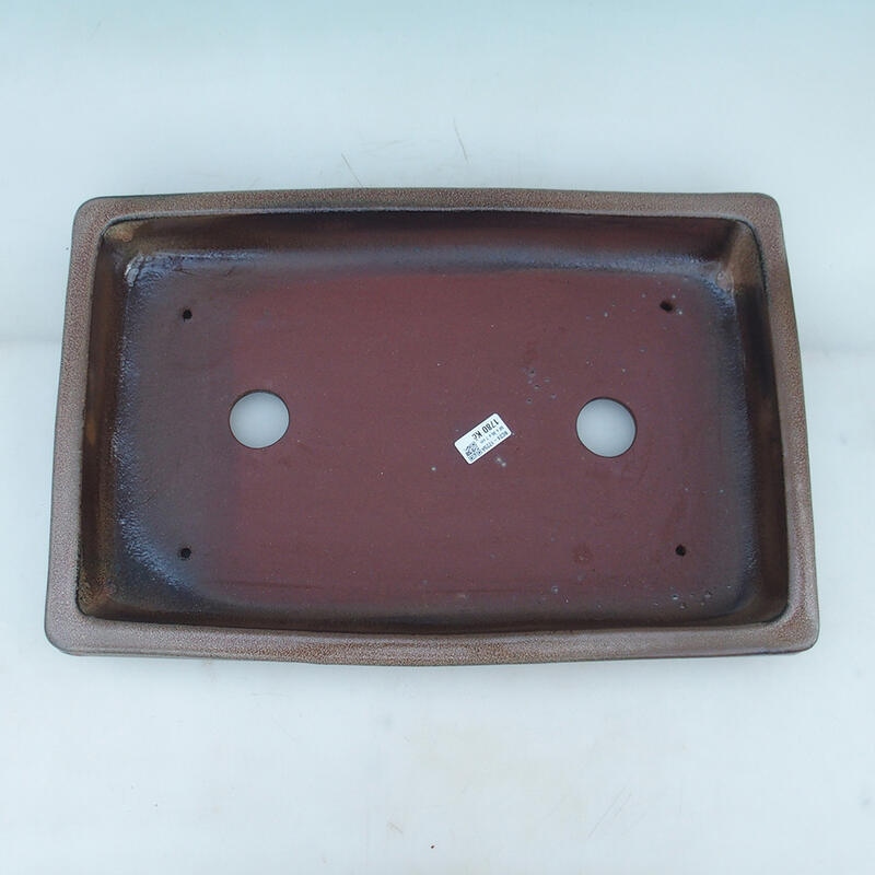 Bonsaischaal 51 x 33,5 x 8,5 cm, kleur bruin - alleen transport per pallet