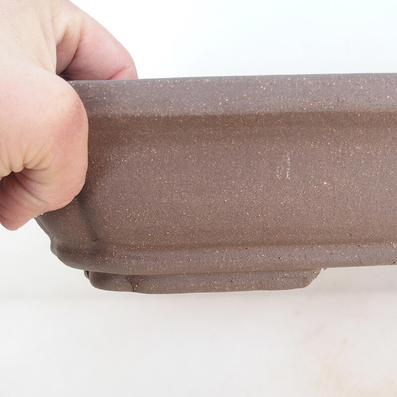 Bonsaischaal 51 x 33,5 x 8 cm, natuurlijke kleur