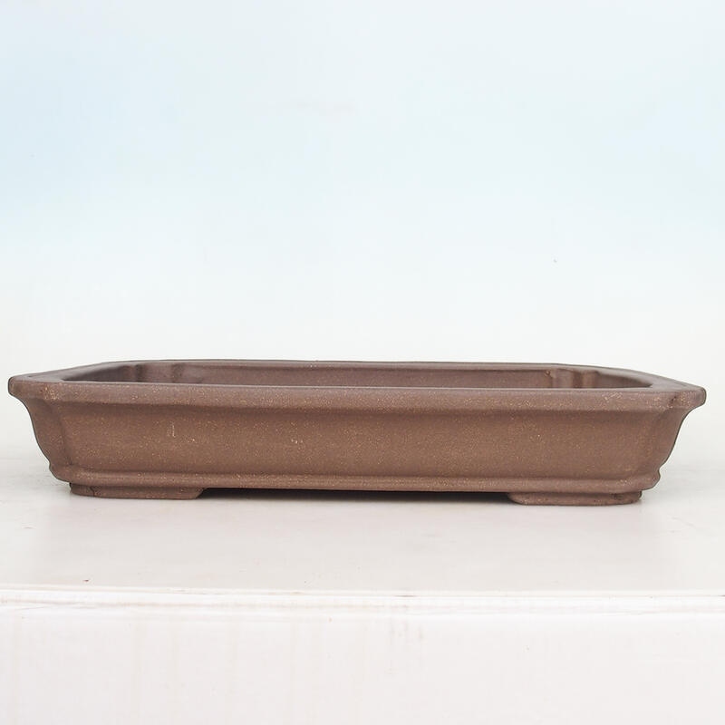 Bonsaischaal 51 x 33,5 x 8 cm, natuurlijke kleur