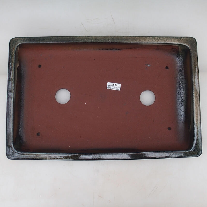 Bonsaischaal 51 x 33 x 8 cm, blauwgroen - alleen transport per pallet