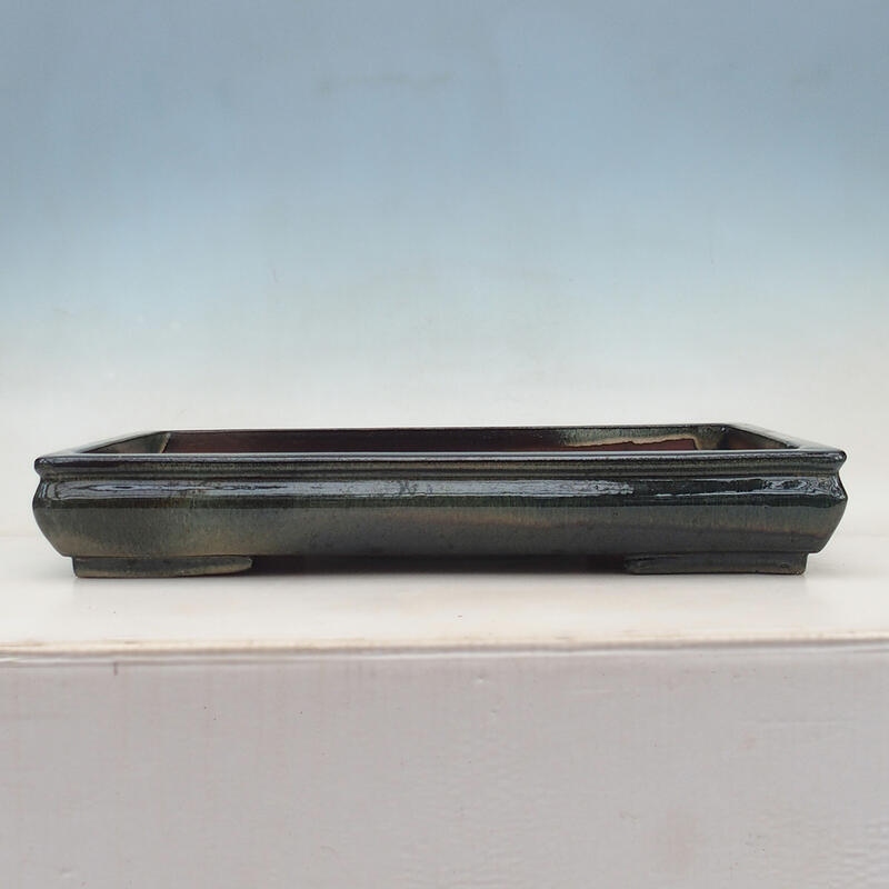 Bonsaischaal 51 x 33 x 8 cm, blauwgroen - alleen transport per pallet