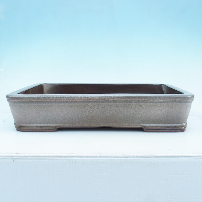 Bonsaischaal 51 x 34 x 10,5 cm, kleur beige - alleen transport per pallet