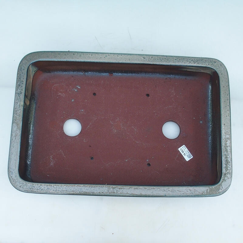 Bonsaischaal 51 x 34 x 10,5 cm, beige-groen - alleen transport per pallet