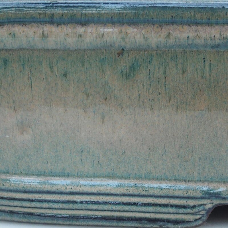 Bonsaischaal 51 x 34 x 10,5 cm, beige-groen - alleen transport per pallet