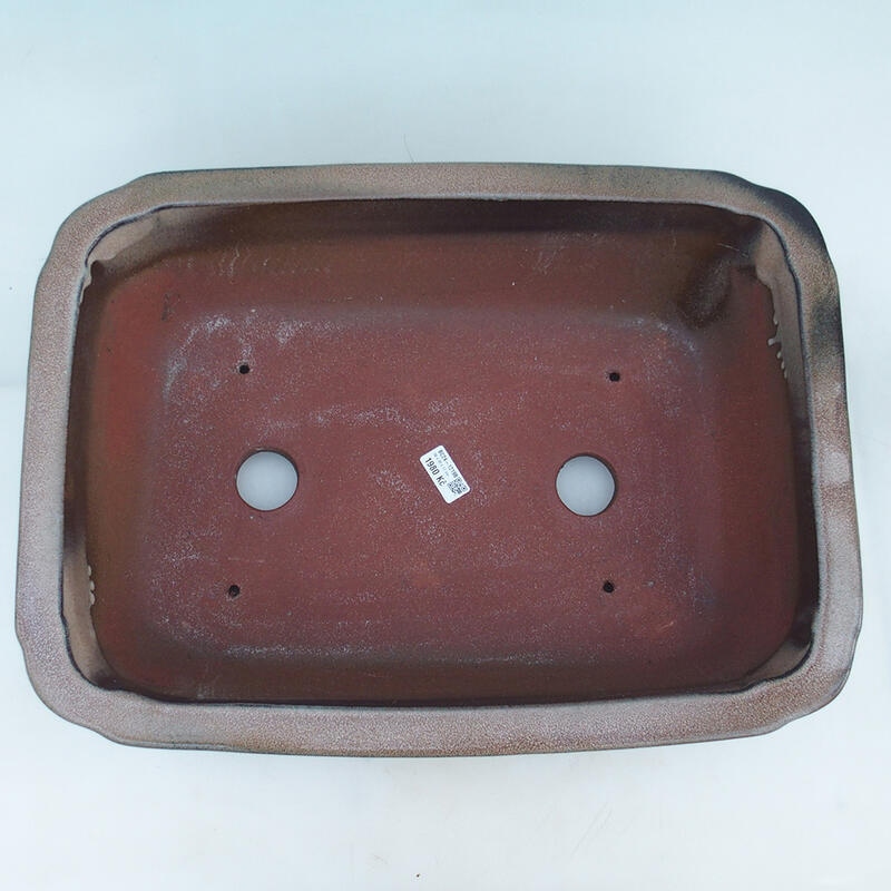 Bonsaischaal 51 x 35,5 x 16 cm, kleur bruin - alleen transport per pallet