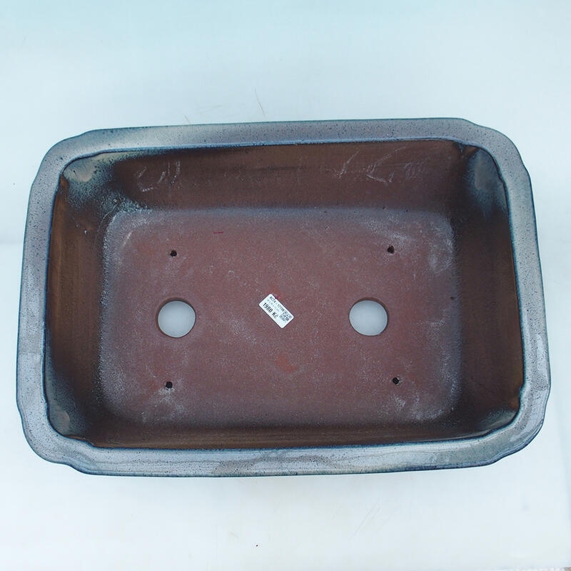 Bonsaischaal 51 x 35,5 x 16 cm, kleur blauw-beige - alleen transport per pallet