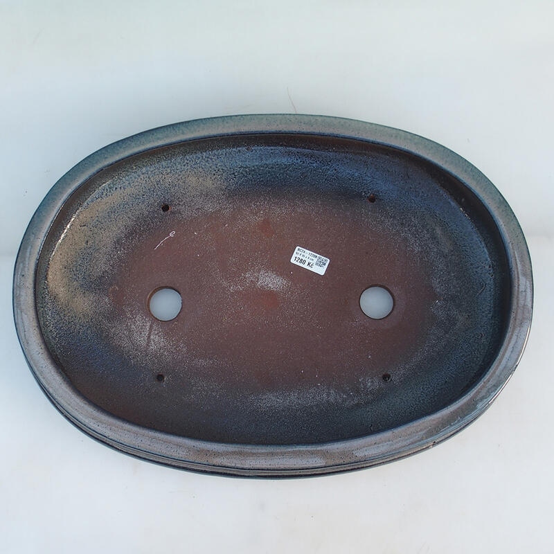 Bonsaischaal 51 x 36,5 x 10 cm, kleur blauw-beige - alleen transport per pallet