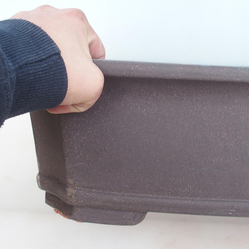 Bonsaischaal 51 x 38 x 15 cm, natuurlijke kleur