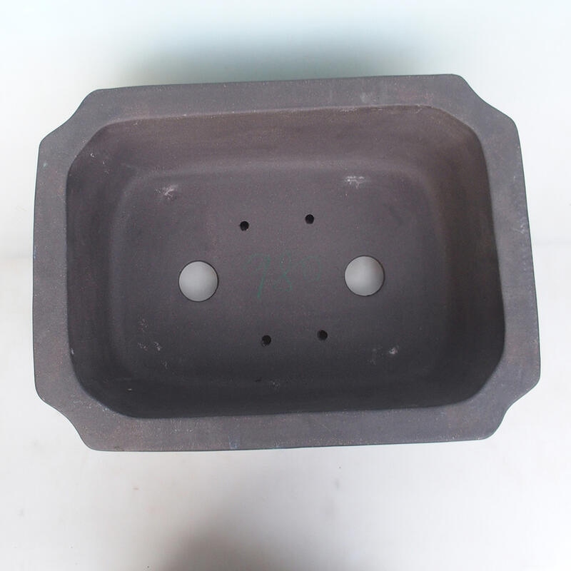 Bonsaischaal 51 x 38 x 15 cm, natuurlijke kleur