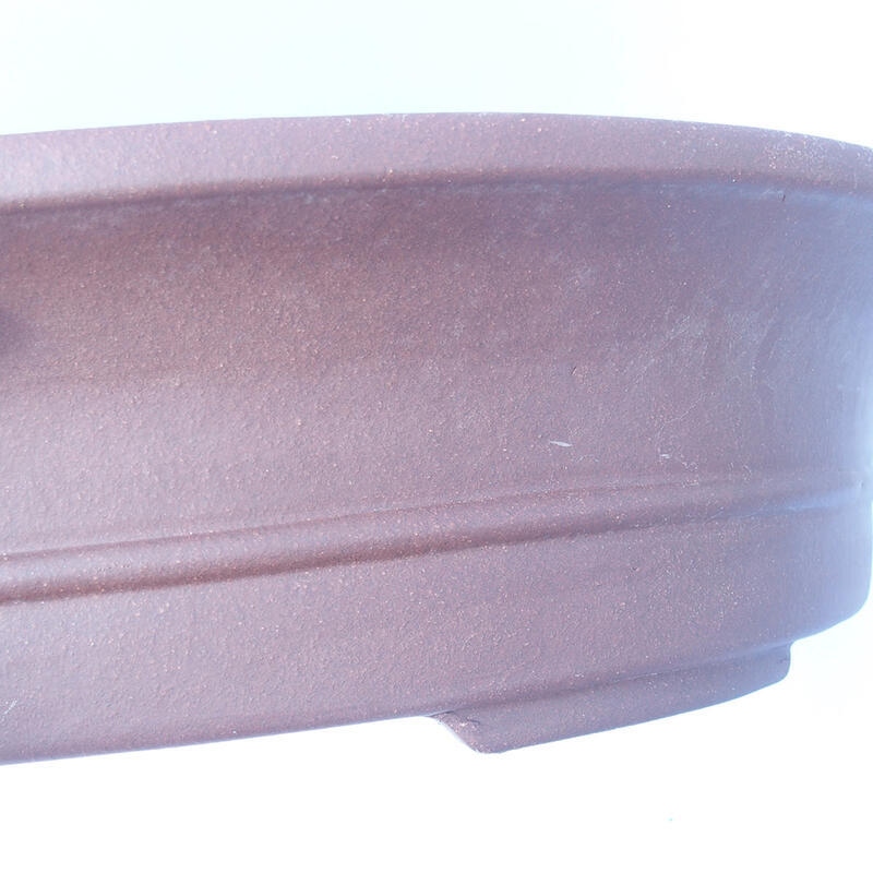 Bonsaischaal 51 x 42 x 12 cm