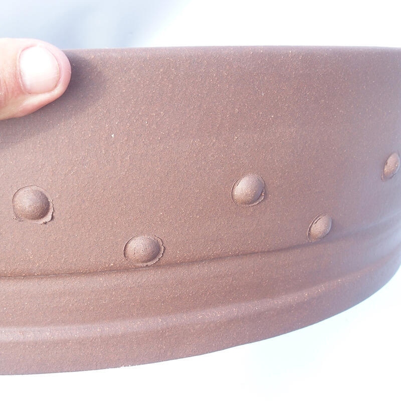 Bonsaischaal 51 x 51 x 13 cm