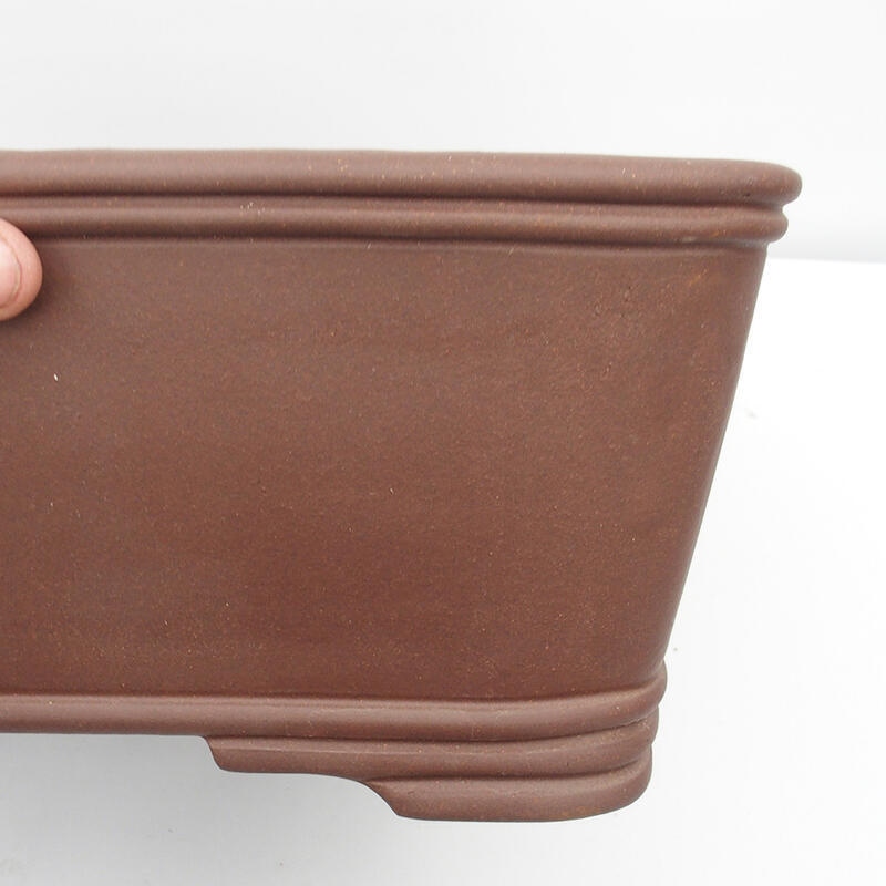 Bonsaischaal 52 x 16 x 19 cm - Japanse kwaliteit