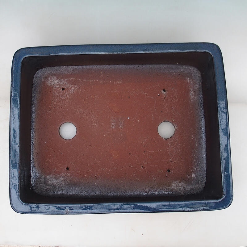 Bonsaischaal 52 x 41 x 15 cm, kleur blauw - alleen transport per pallet