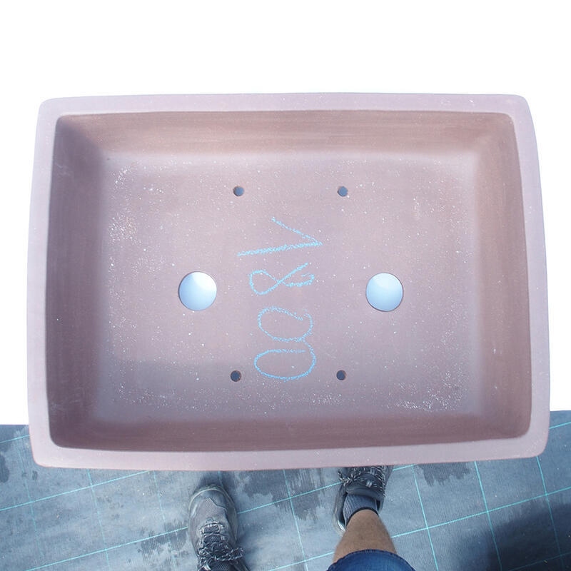 Bonsaischaal 54 x 40 x 14 cm