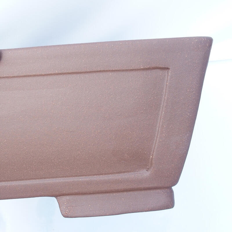 Bonsaischaal 54 x 40 x 14 cm