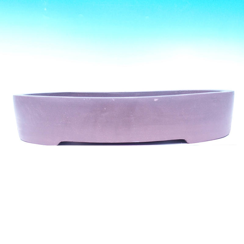 Bonsaischaal 54 x 43 x 10 cm