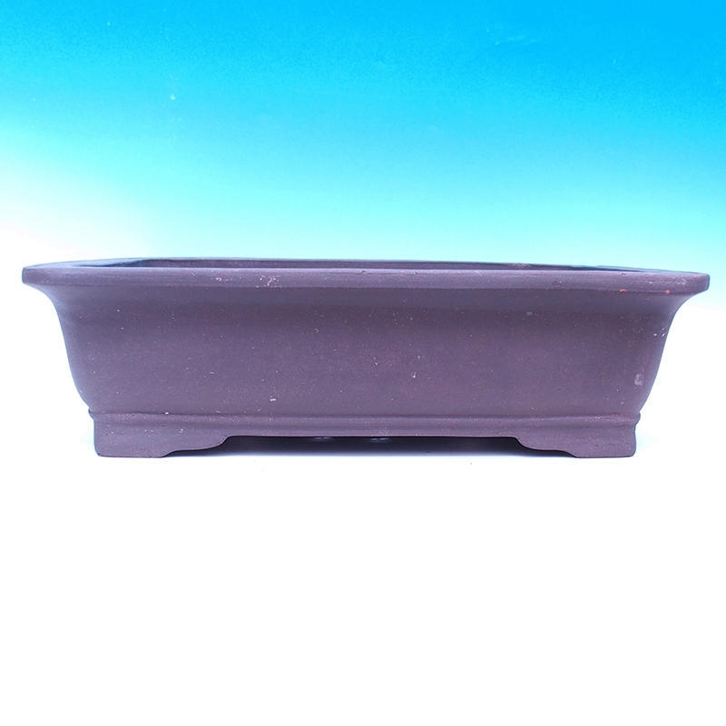 Bonsaischaal 57 x 45 x 16 cm