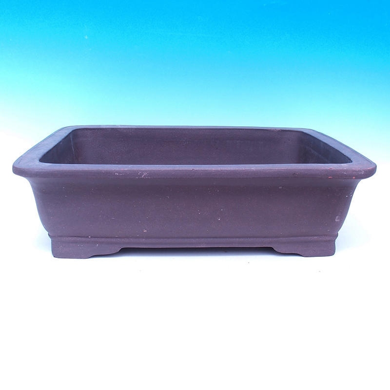 Bonsaischaal 57 x 45 x 16 cm