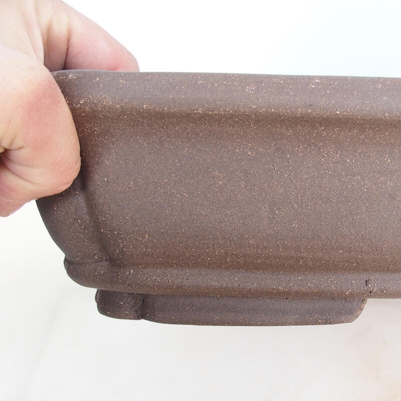 Bonsaischaal 60 x 42 x 8,5 cm, natuurlijke kleur