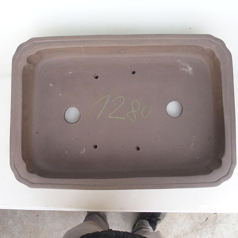 Bonsaischaal 60 x 42 x 8,5 cm, natuurlijke kleur