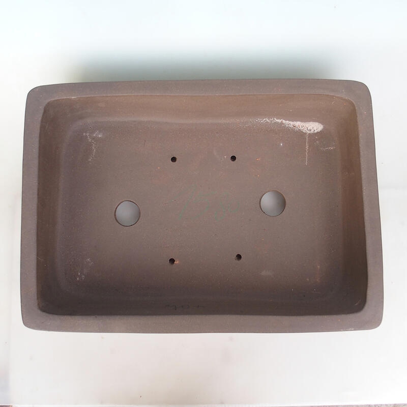 Bonsaischaal 60 x 43 x 13 cm, natuurlijke kleur