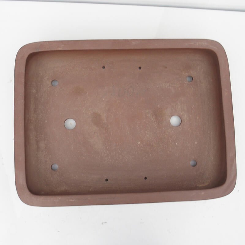 Bonsaischaal 60 x 45 x 12 cm - Japanse kwaliteit