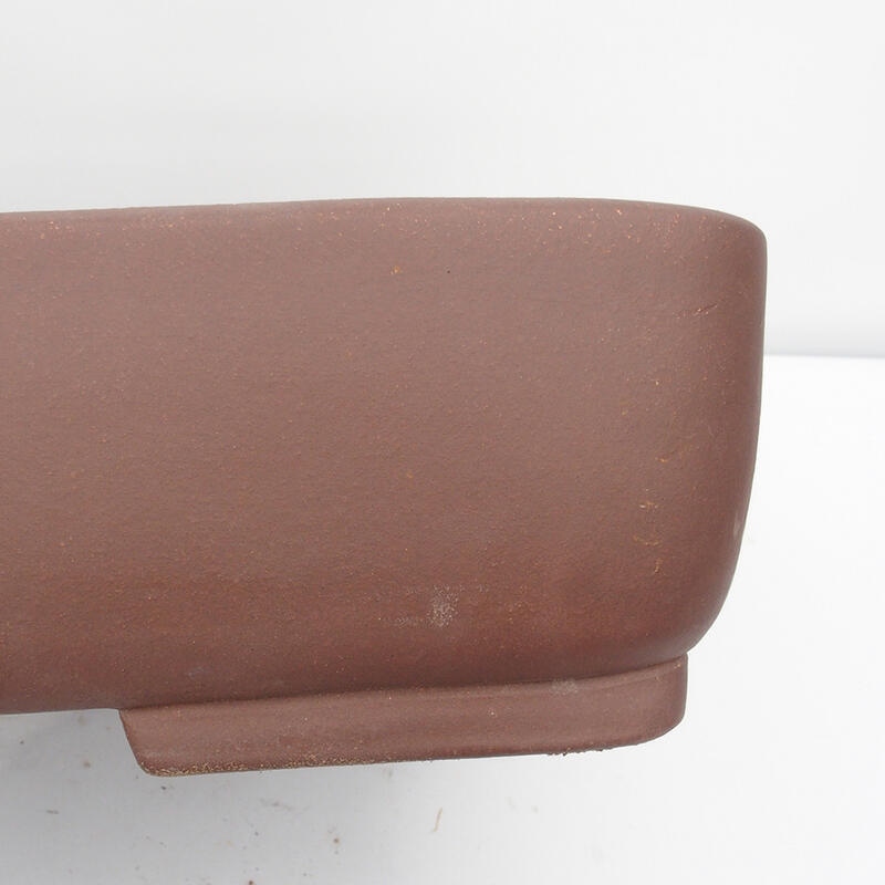 Bonsaischaal 60 x 45 x 12 cm - Japanse kwaliteit