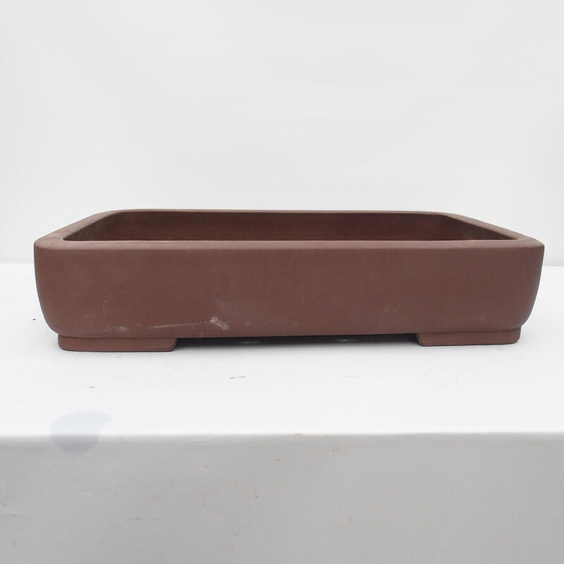 Bonsaischaal 60 x 45 x 12 cm - Japanse kwaliteit