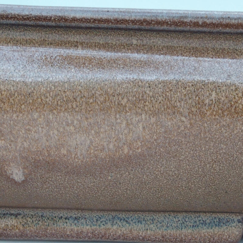 Bonsaischaal 61 x 41 x 11 cm, bruin - alleen transport per pallet