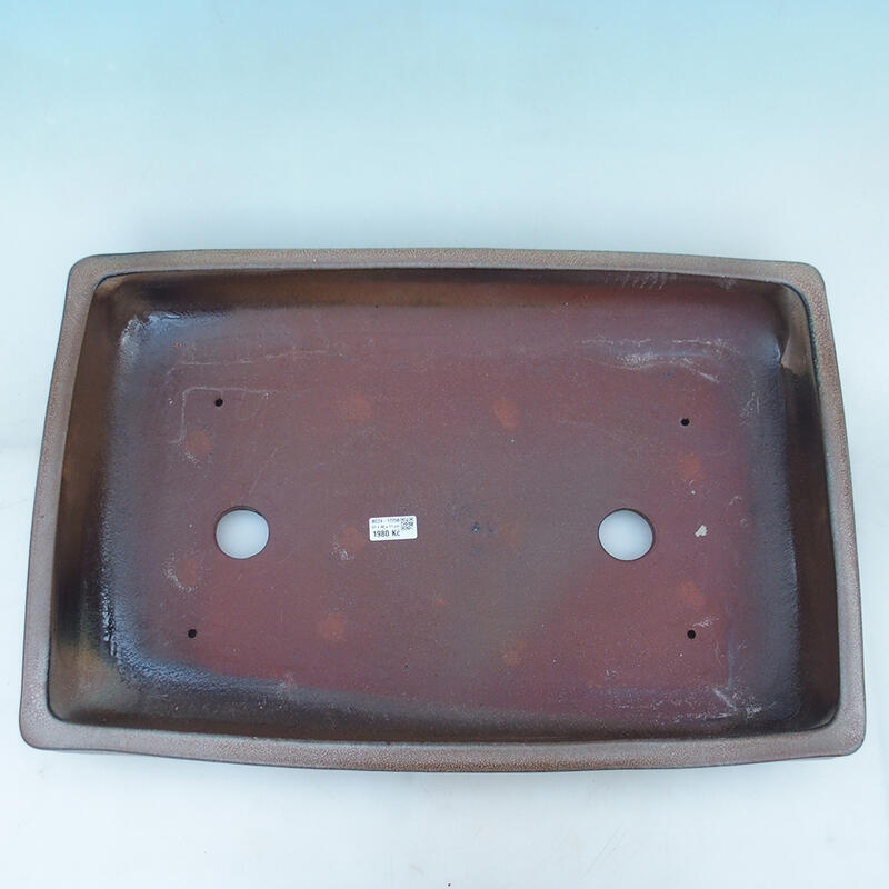 Bonsaischaal 61 x 41 x 11 cm, bruin - alleen transport per pallet