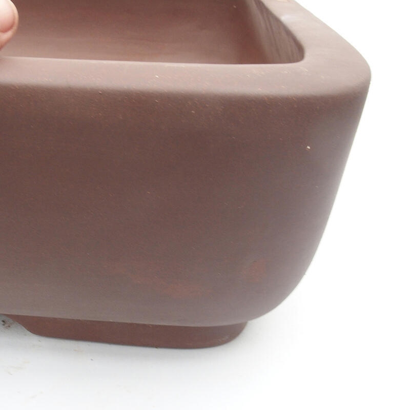 Bonsaischaal 64 x 50 x 16 cm - Japanse kwaliteit