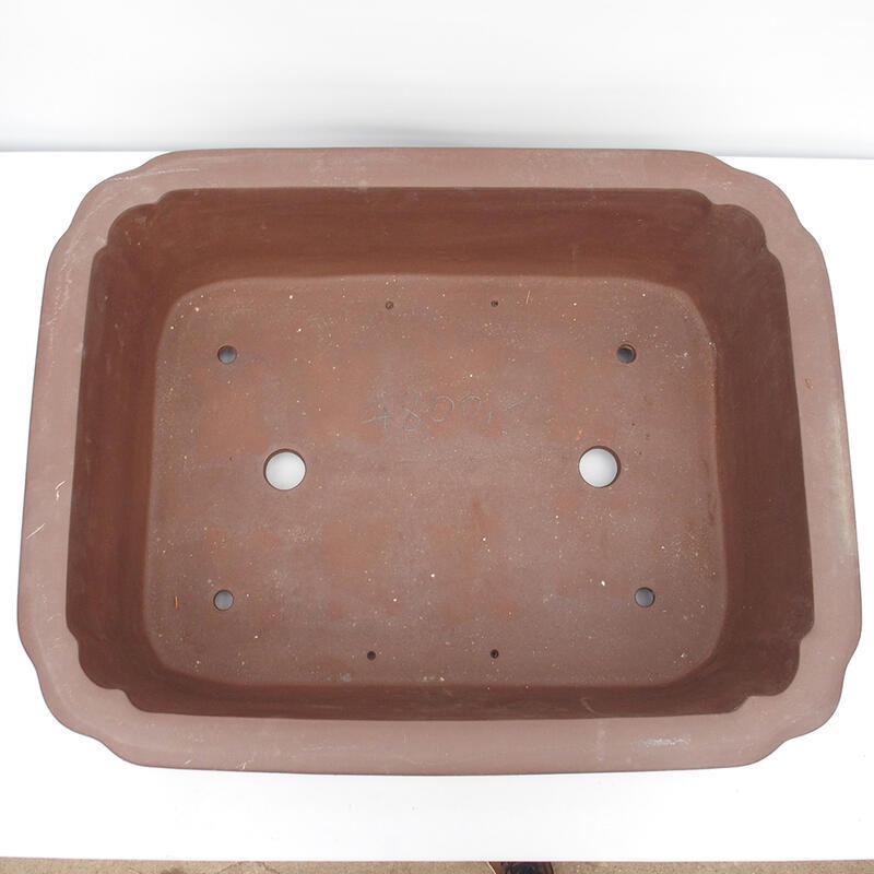 Bonsaischaal 76 x 60 x 23 cm - Japanse kwaliteit