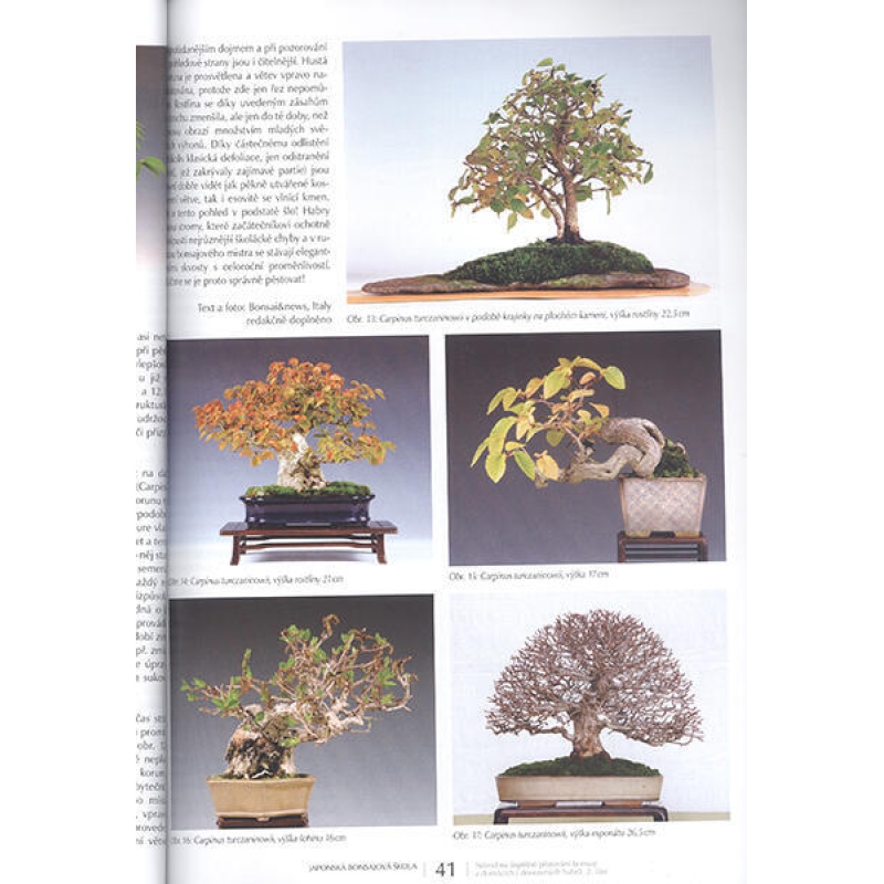 Bonsai en Japanse tuinen nr.63