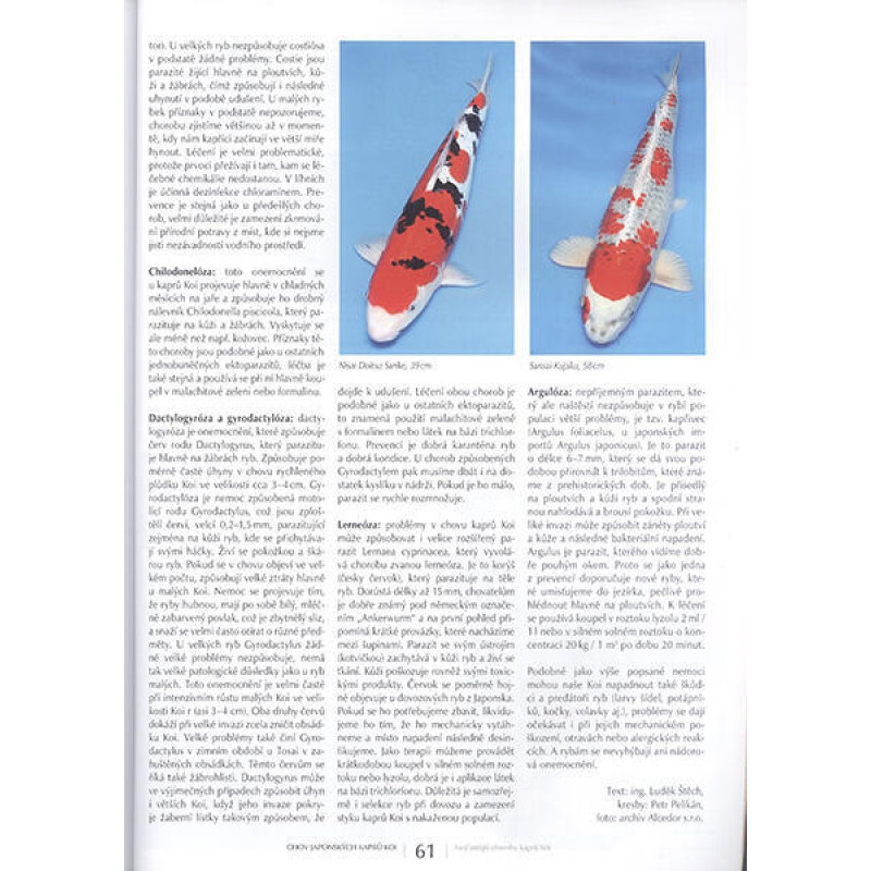 Bonsai en Japanse tuinen nr.63