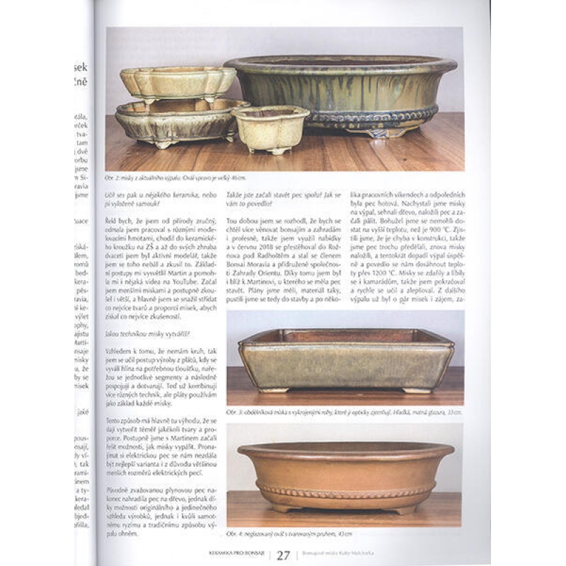 Bonsai en Japanse tuinen nr.63