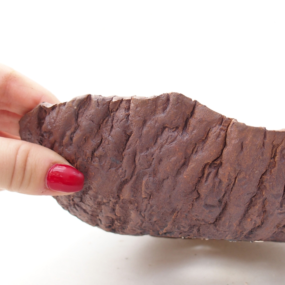 Keramisch Schelp 19 x 18 x 5,5 cm , kleur bruin