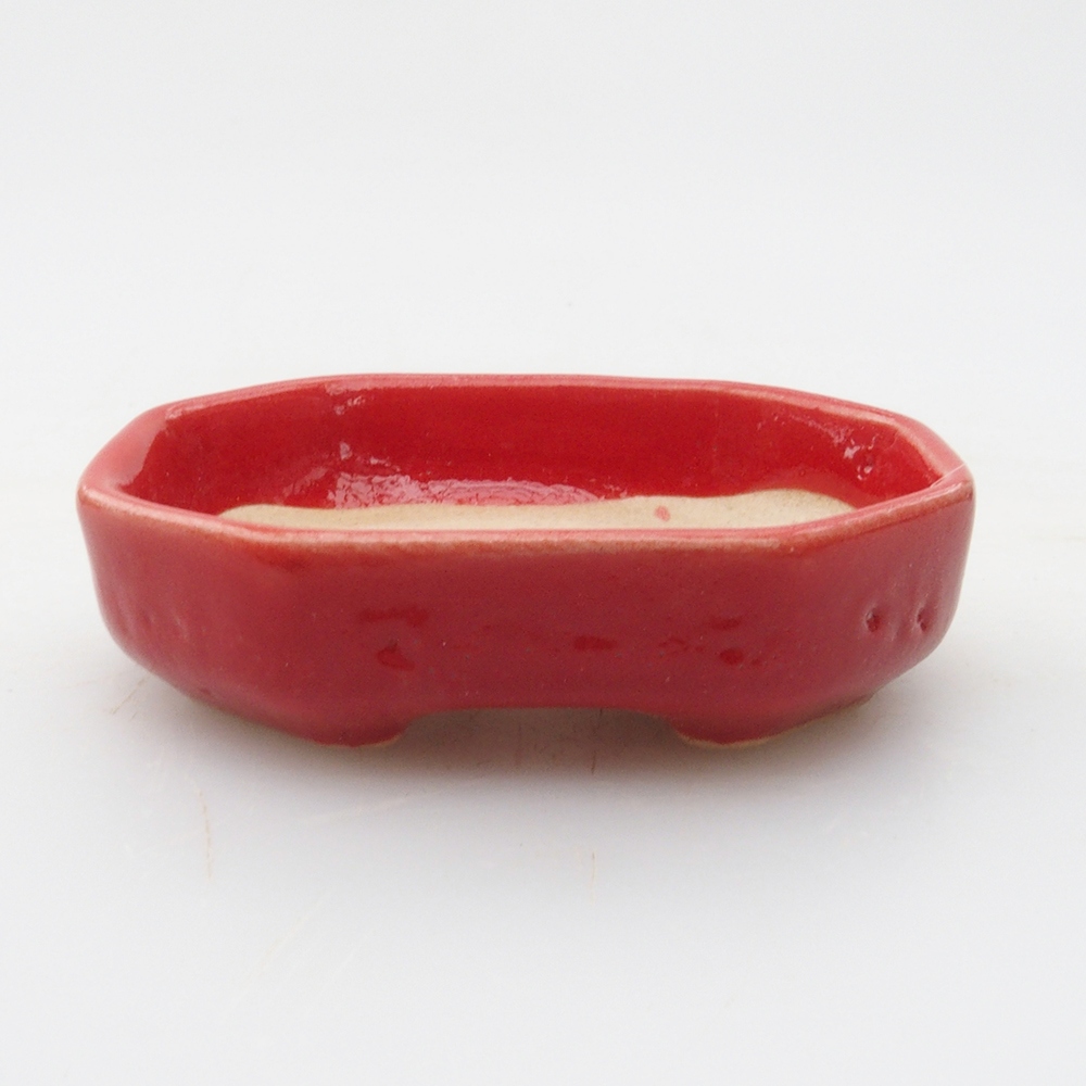Mini bonsaischaal 5,5 x 4 x 1,5 cm, kleur rood