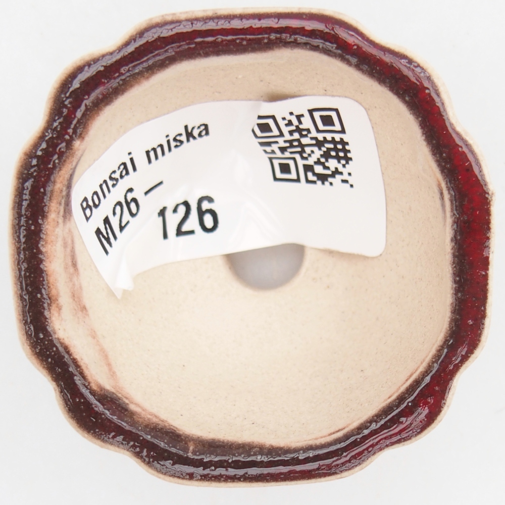 Mini bonsaischaal 4,5 x 4,5 x 2,5 cm, kleur rood