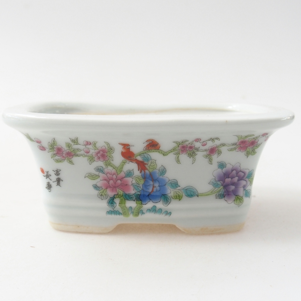 Mini bonsaischaal 10 x 7,5 x 4 cm, kleur wit