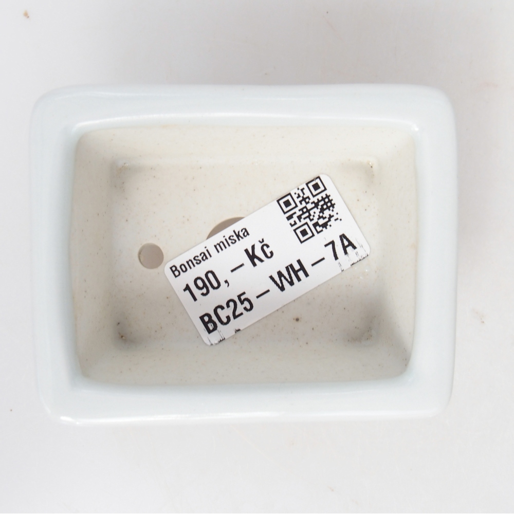Mini bonsaischaal 8 x 6 x 3 cm, wit