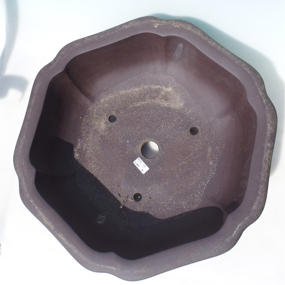 Bonsaischaal 61 x 57,5 x 18 cm - bruin