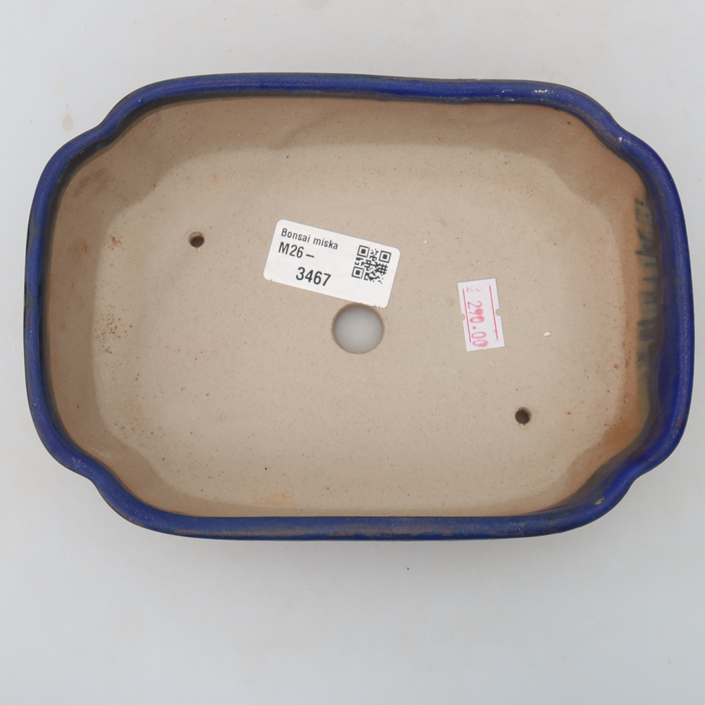 Keramische bonsaischaal 18,5 x 13 x 5 cm, kleur: blauw