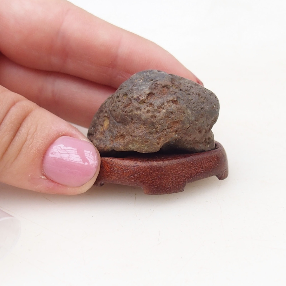 Suiseki - Steen met DAI (houten basis)