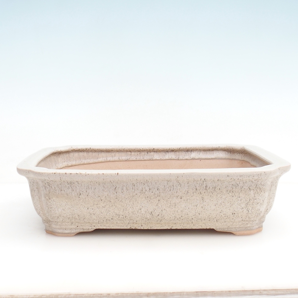 Bonsaischaal H07 - 30 x 20,5 x 8 cm.